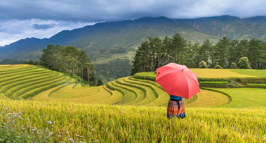 Day 6: Lai Chau - Sapa (B, L) (Breakfast, Lunch)